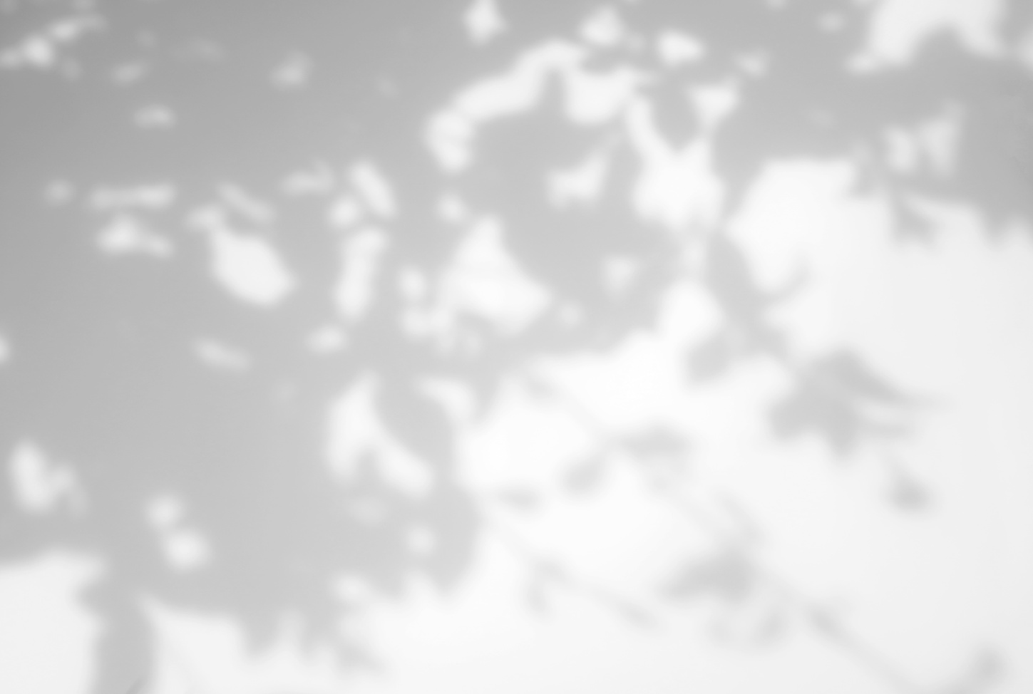 Shadows of Leaves on a Wall